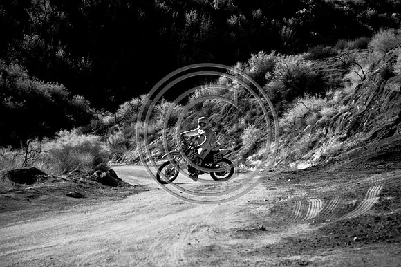 DSC_7668-Edit