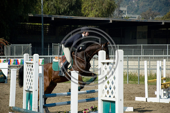 DSC_6381