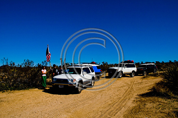 DSC_7904