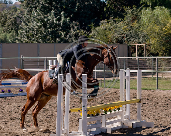 DSC_6407