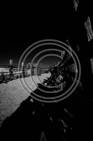 DSC_8056-Edit