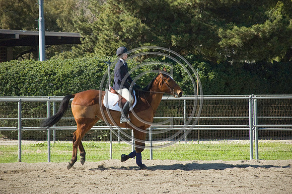DSC_6118