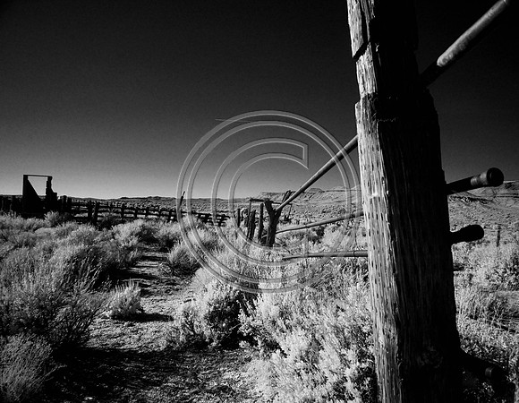 DSC_8048-Edit