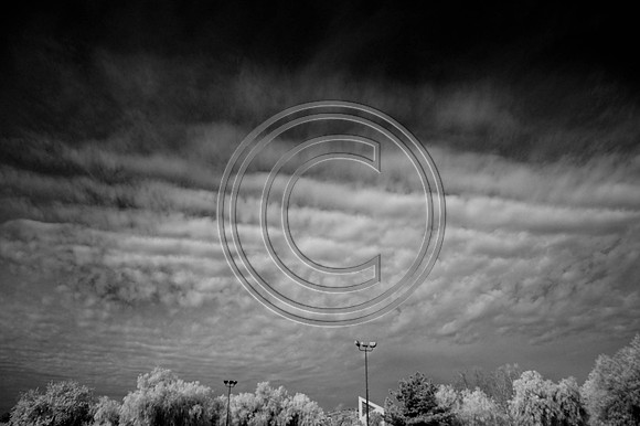 DSC_7945-Edit