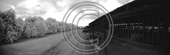 God's Country Pano 3