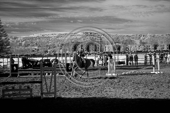 DSC_7925-Edit