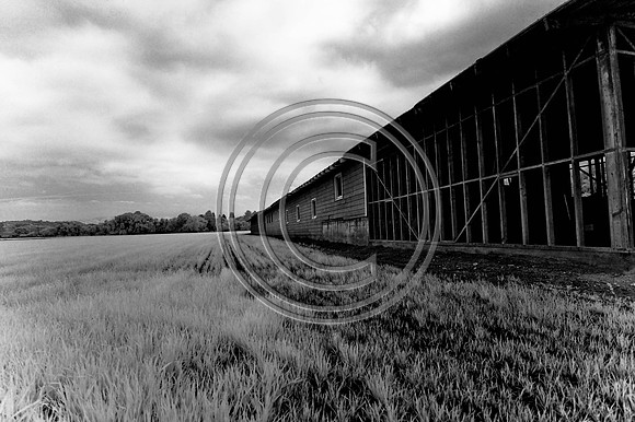 DSC_7838-Edit