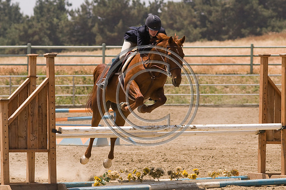 DSC_9176
