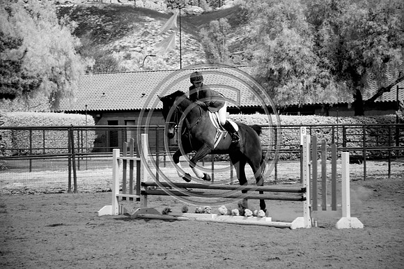 DSC_7976-Edit
