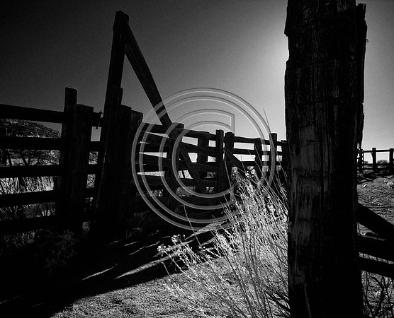 DSC_8059-Edit