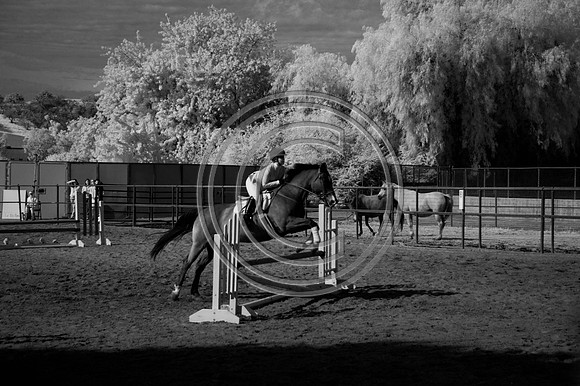 DSC_7928-Edit