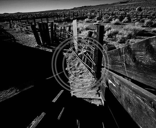 DSC_8051-Edit