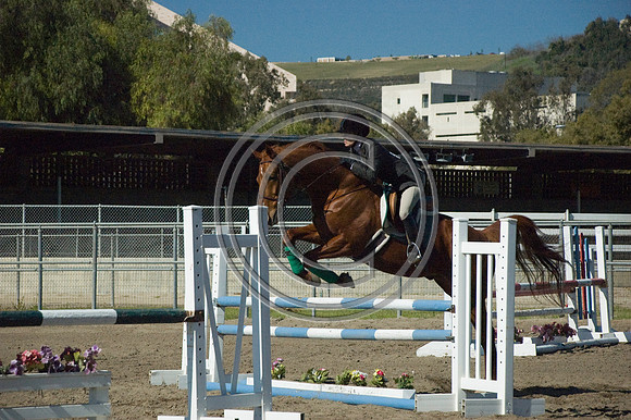 DSC_6061