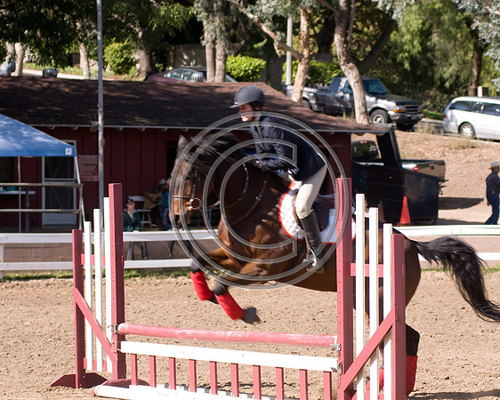 DSC_6520