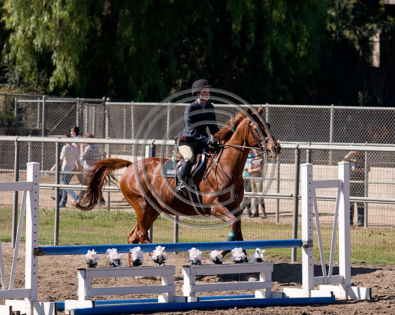DSC_6406