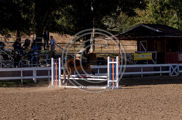 DSC_6572