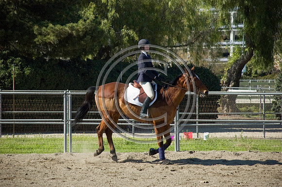 DSC_6119