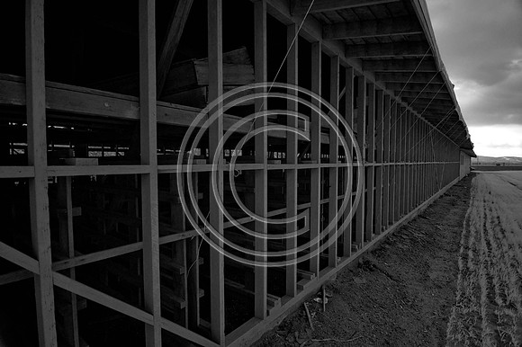 DSC_7869-Edit
