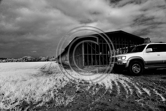 DSC_7908-Edit