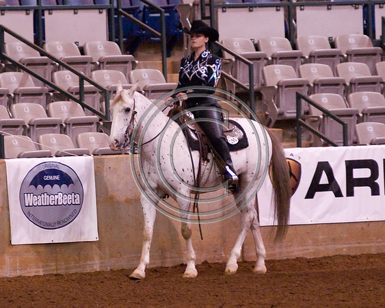 DSC_8269