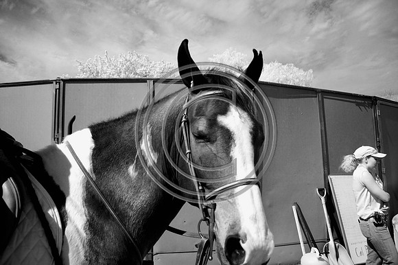 DSC_7989-Edit