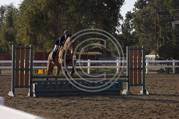 DSC_5384