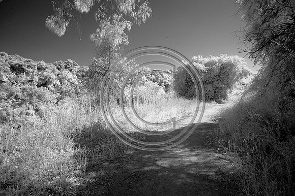 DSC_8107-Edit
