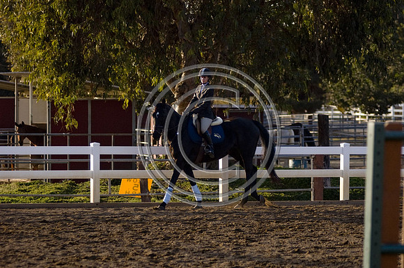 DSC_5439