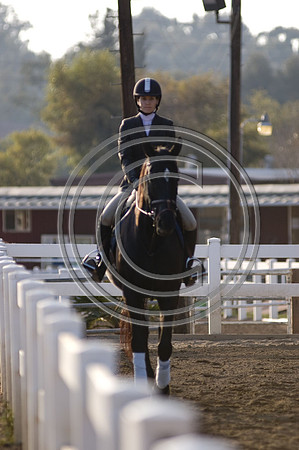 DSC_5455