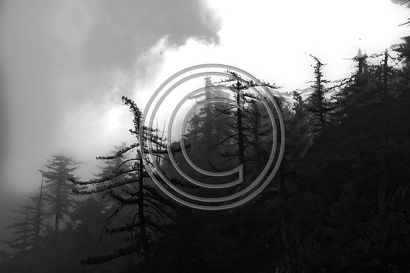 Blurb-41