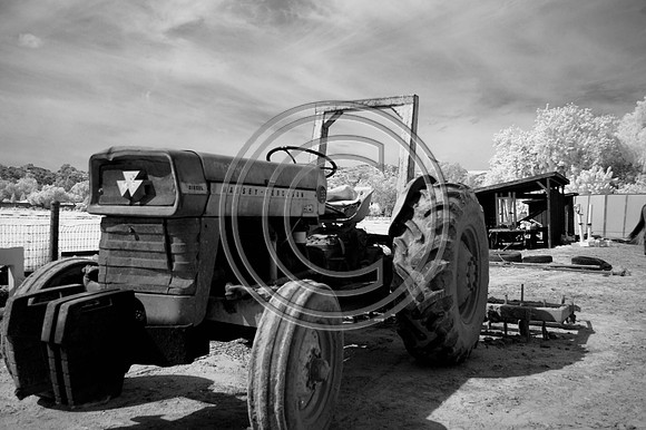 DSC_8019-Edit