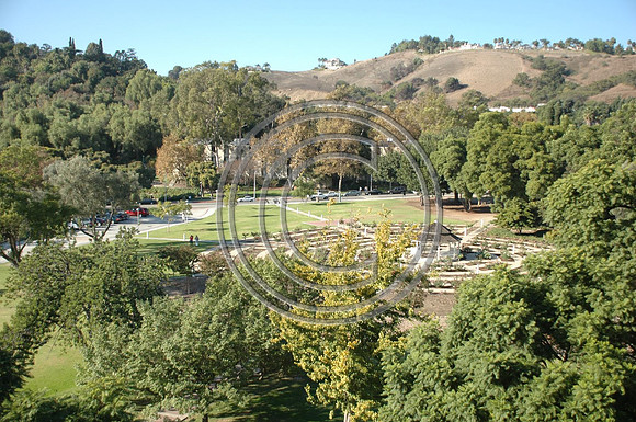 Rose Garden