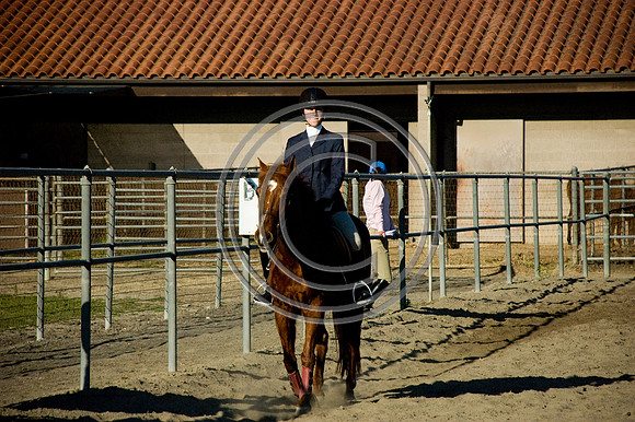 DSC_6274