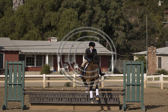 DSC_5348