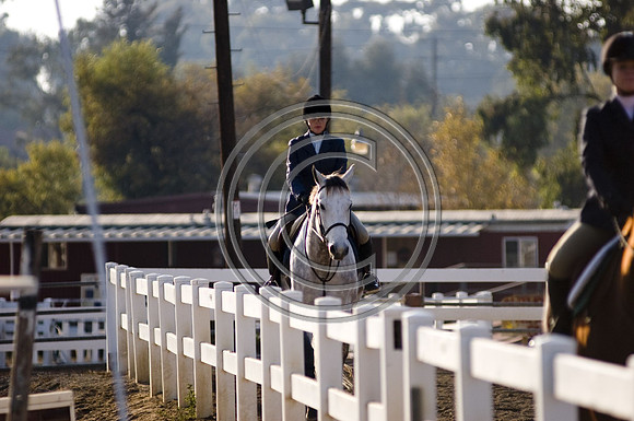 DSC_5411