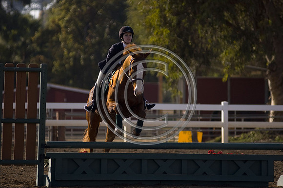 DSC_5389