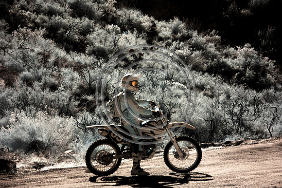 DSC_7667-Edit
