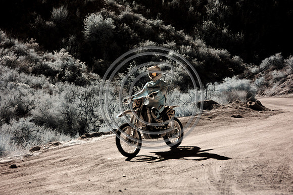 DSC_7669-Edit