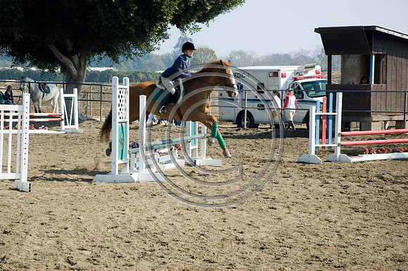 DSC_6412