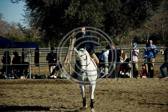 DSC_6240