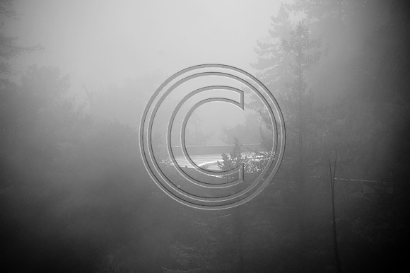 Blurb-42